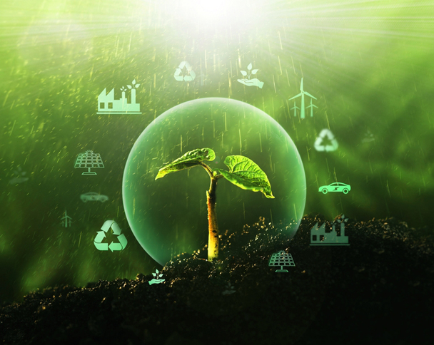 Our sustainable growth model
